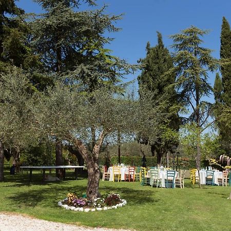 Bed&Breakfast Il Frantoio Misano Adriatico Bagian luar foto